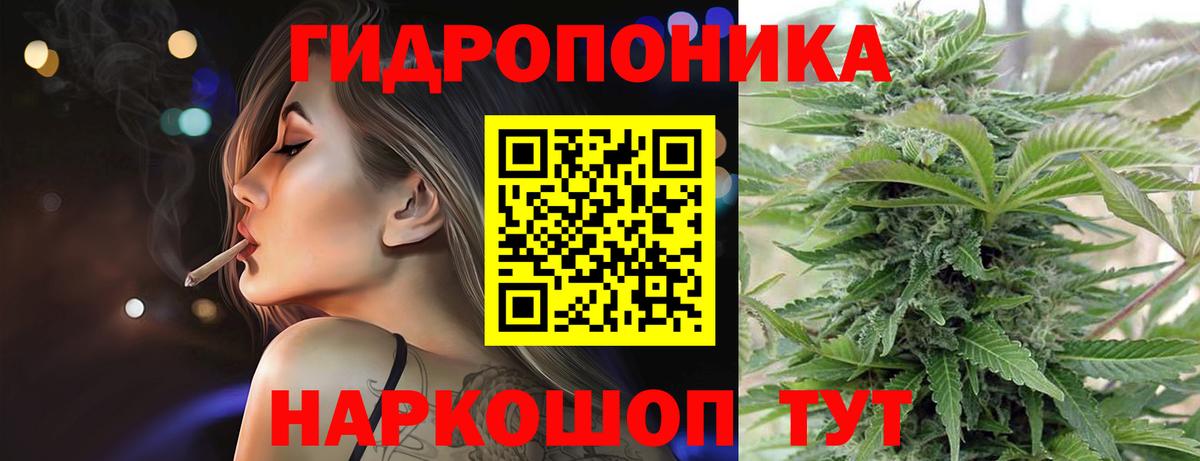Конопля план Ухта